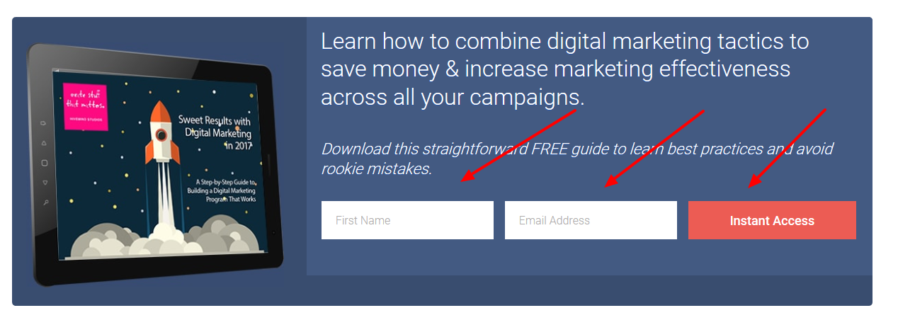 Lead Generation Opt-in Form